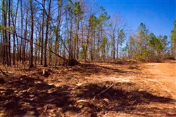 property photo for Stone Creek Phase II Tract 132, 5.68 acres for sale in Latimer County, Oklahoma