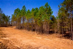 property photo for Stone Creek Phase II Tract 132, 5.68 acres for sale in Latimer County, Oklahoma