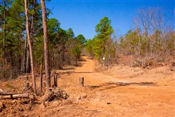 property photo for Stone Creek Phase II Tract 133, 6.22 acres for sale in Latimer County, Oklahoma