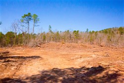 property photo for Stone Creek Phase II Tract 133, 6.22 acres for sale in Latimer County, Oklahoma