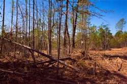 property photo for Stone Creek Phase II Tract 133, 6.22 acres for sale in Latimer County, Oklahoma