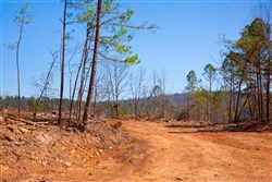 property photo for Stone Creek Phase II Tract 134, 4.87 acres for sale in Latimer County, Oklahoma