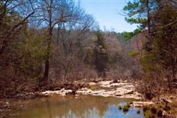 property photo for Stone Creek Phase II Tract 134, 4.87 acres for sale in Latimer County, Oklahoma