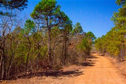 property photo for Stone Creek Phase II Tract 134, 4.87 acres for sale in Latimer County, Oklahoma