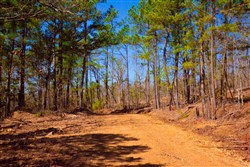 property photo for Stone Creek Phase II Tract 135, 5.55 acres for sale in Latimer County, Oklahoma