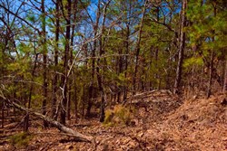 property photo for Stone Creek Phase II Tract 135, 5.55 acres for sale in Latimer County, Oklahoma