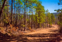 property photo for Stone Creek Phase II Tract 135, 5.55 acres for sale in Latimer County, Oklahoma