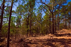 property photo for Stone Creek Phase II Tract 135, 5.55 acres for sale in Latimer County, Oklahoma