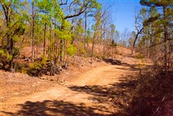 property photo for Stone Creek Phase II Tract 136, 4.74 acres for sale in Latimer County, Oklahoma