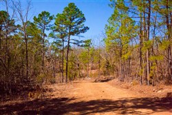 property photo for Stone Creek Phase II Tract 136, 4.74 acres for sale in Latimer County, Oklahoma