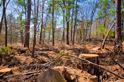 property photo for Stone Creek Phase II Tract 136, 4.74 acres for sale in Latimer County, Oklahoma