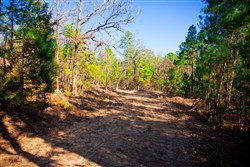 property photo for Stone Creek Phase II Tract 137, 5.91 acres for sale in Latimer County, Oklahoma