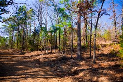 property photo for Stone Creek Phase II Tract 137, 5.91 acres for sale in Latimer County, Oklahoma