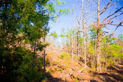 property photo for Stone Creek Phase II Tract 137, 5.91 acres for sale in Latimer County, Oklahoma