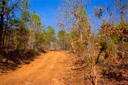 property photo for Stone Creek Phase II Tract 138, 6.42 acres for sale in Latimer County, Oklahoma