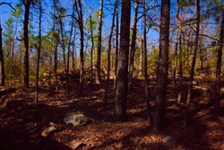 property photo for Stone Creek Phase II Tract 138, 6.42 acres for sale in Latimer County, Oklahoma