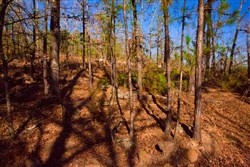 property photo for Stone Creek Phase II Tract 138, 6.42 acres for sale in Latimer County, Oklahoma