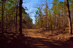 property photo for Stone Creek Phase II Tract 138, 6.42 acres for sale in Latimer County, Oklahoma