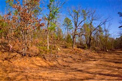 property photo for Stone Creek Phase II Tract 138, 6.42 acres for sale in Latimer County, Oklahoma