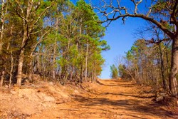 property photo for Stone Creek Phase II Tract 138, 6.42 acres for sale in Latimer County, Oklahoma