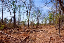 property photo for Stone Creek Phase II Tract 139, 9.3 acres for sale in Latimer County, Oklahoma