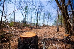 property photo for Stone Creek Phase II Tract 139, 9.3 acres for sale in Latimer County, Oklahoma