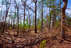 property photo for Stone Creek Phase II Tract 139, 9.3 acres for sale in Latimer County, Oklahoma