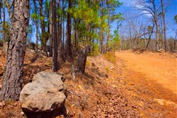 property photo for Stone Creek Phase II Tract 140, 6.24 acres for sale in Latimer County, Oklahoma