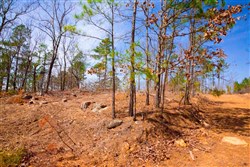 property photo for Stone Creek Phase II Tract 140, 6.24 acres for sale in Latimer County, Oklahoma