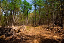 property photo for Stone Creek Phase II Tract 190, 5.44 acres for sale in Latimer County, Oklahoma