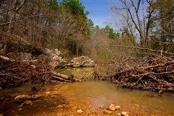 property photo for Stone Creek Phase II Tract 190, 5.44 acres for sale in Latimer County, Oklahoma