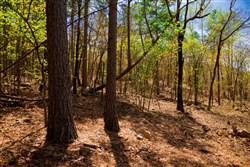 property photo for Stone Creek Phase II Tract 190, 5.44 acres for sale in Latimer County, Oklahoma