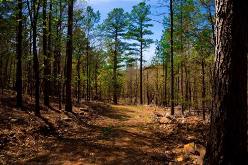 Stone Creek Phase II Tract 191