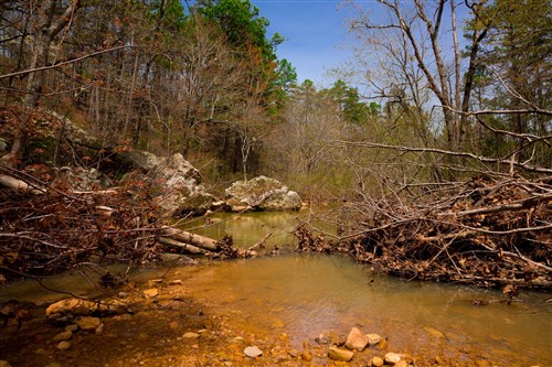 Stone Creek Phase II Tract 191