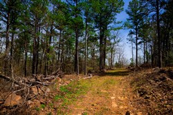 property photo for Stone Creek Phase II Tract 192, 8.32 acres for sale in Latimer County, Oklahoma