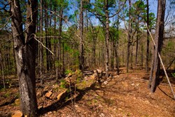 property photo for Stone Creek Phase II Tract 192, 8.32 acres for sale in Latimer County, Oklahoma