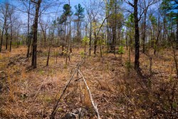 property photo for Stone Creek Phase II Tract 193, 7.02 acres for sale in Latimer County, Oklahoma