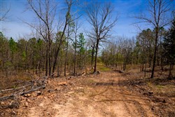 property photo for Stone Creek Phase II Tract 194, 9.2 acres for sale in Latimer County, Oklahoma