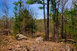 property photo for Stone Creek Phase II Tract 194, 9.2 acres for sale in Latimer County, Oklahoma