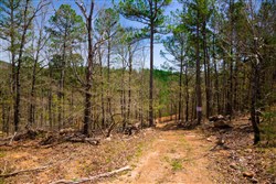 property photo for Stone Creek Phase II Tract 195, 6.98 acres for sale in Latimer County, Oklahoma