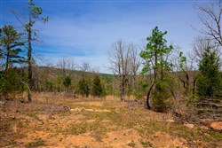 property photo for Stone Creek Phase II Tract 195, 6.98 acres for sale in Latimer County, Oklahoma