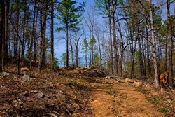 property photo for Stone Creek Phase II Tract 196, 6.74 acres for sale in Latimer County, Oklahoma