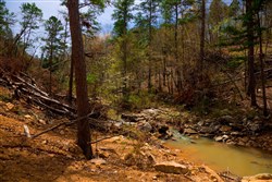 property photo for Stone Creek Phase II Tract 196, 6.74 acres for sale in Latimer County, Oklahoma
