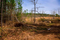property photo for Stone Creek Phase II Tract 197, 9.86 acres for sale in Latimer County, Oklahoma