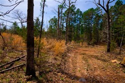 property photo for Stone Creek Phase II Tract 197, 9.86 acres for sale in Latimer County, Oklahoma