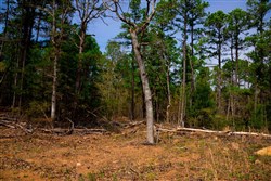 property photo for Stone Creek Phase II Tract 197, 9.86 acres for sale in Latimer County, Oklahoma