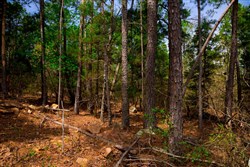 property photo for Stone Creek Phase II Tract 197, 9.86 acres for sale in Latimer County, Oklahoma