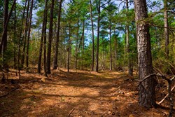 property photo for Stone Creek Phase II Tract 197, 9.86 acres for sale in Latimer County, Oklahoma