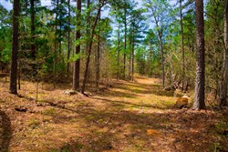 property photo for Stone Creek Phase II Tract 197, 9.86 acres for sale in Latimer County, Oklahoma