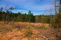 property photo for Stone Creek Phase II Tract 198, 9.3 acres for sale in Latimer County, Oklahoma